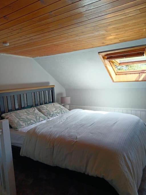 Dingle Escape -2 Bed -Sleeps 4 Διαμέρισμα Εξωτερικό φωτογραφία