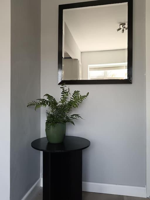 Dingle Escape -2 Bed -Sleeps 4 Διαμέρισμα Εξωτερικό φωτογραφία