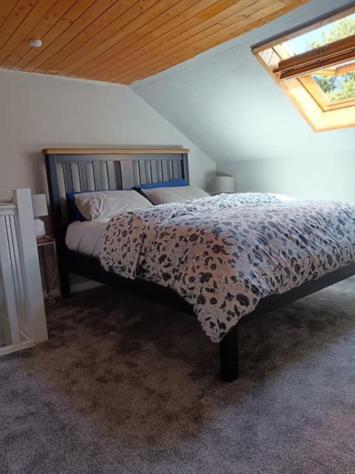 Dingle Escape -2 Bed -Sleeps 4 Διαμέρισμα Εξωτερικό φωτογραφία